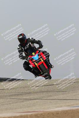 media/Feb-10-2023-TrackDaz (Fri) [[827c11d241]]/C Group/1245pm (Outside Grapevine)/